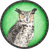 Great Horned Owl Dharma by Heather Crowley